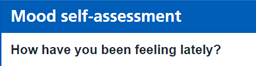 MOOD ASSESSMENT